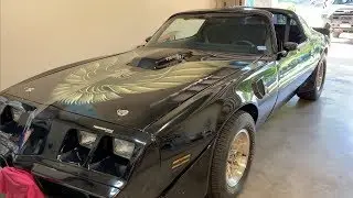 SOLD!! Coug Catcher / Dude Magnet - 1979 Pontiac Trans Am (Hot Rod Cruiser)
