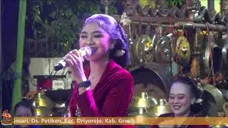 Sigar Voc  Septy