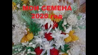 ЗАКАЗЫВАЙТЕ ! Семена сухоцветов урожая 2020года.