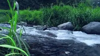 Live Relaxing Water Sounds – Peaceful Nature Ambience for Deep Sleep & Stress Relief