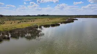 Laguna de Lobos - Enero 2021