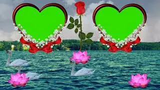 Backgrounds wedding green screen effects leffects backgrounds love effect