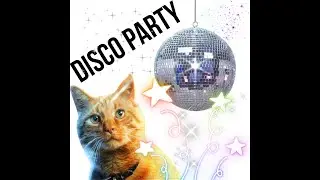 Disco party for cats 2021 !!! Диско пати, для кошек 2021!!!

video for cats videos for cats to watch