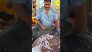 KASIMEDU MINNAL RAJA FISH CUTTING VIDEO #kasimeduselvam #minnalraja #shorts #bigfishcutting