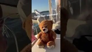 Teddy bear overboard!! 