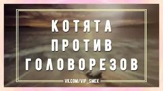 Котята против головорезов