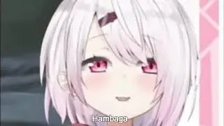 HAMBAGA
