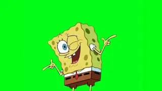 Футаж / Footage Sponge Bob ХРОМАКЕЙ