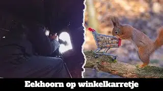 Arne Fotografeert ( seizoen 3 afl 12 )  Eekhoorn op winkelkarretje
