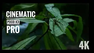 POCO X3 PRO Cinematic video 4k camera test |river|