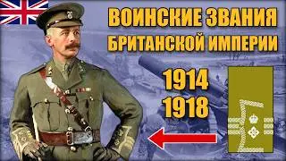 Армия Британской империи в Первой мировой: звания и знаки различия