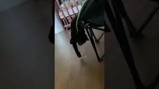 skotik_lyutsifer