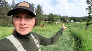 First Huge Garden Harvest of the Year | Making Hay While the Sun Shines!