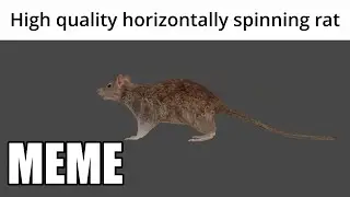 High quality horizontally spinning rat (Meme)