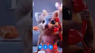 Me when I wanna eat Kebab 🐿