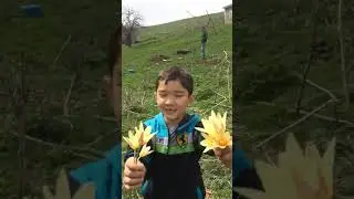 Дәубаба 22.04.2019ж Ерасыл 8 жас
