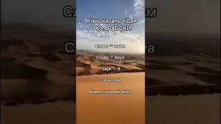 Как сказать «ДА» по-арабски