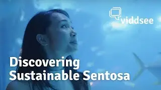 Discovering Sustainable Sentosa Ep 2: Eat // Viddsee.com