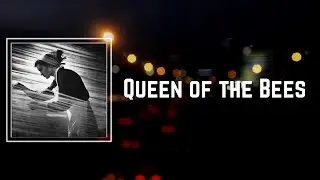 Queen of the Bees Lyrics - Jack White