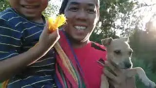 Farm sa Loob ng Subdivision Bem the Cowboy #viral #farming #cow #cowvideos #cows #cowboys