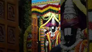 Srinivasa Kalyanam 2024 , Bengaluru #lordvenkateshwara