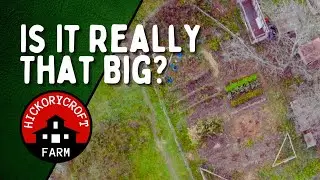 Do We Have A Big Garden: A YEARS Worth Of FOOD (Is It Really That Big?)