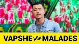 Vapshe malades 😂😂😂
