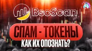 На кошельке появился неизвестный токен - что делать? Спам и скам монеты - как их опознать?