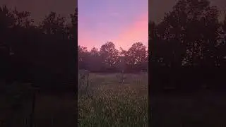Whispers Beneath the Purple Evening Sky #PurpleSky #EveningGlow #TwilightMagic