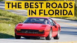 Experience the Florida You Never Knew Existed | Classic Motorsports Road Tours Orange Blossom Tour