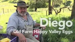 Diego at The Old Farm Happy Valley Eggs