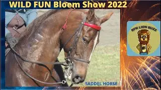 WILD FUN Bloem Show 2022