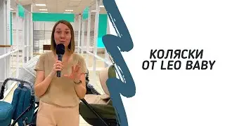 Коляски 2в1 от Leo Baby