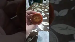 25 января 2023 г.