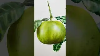 Blue highlights for realism Watercolor Fruit #watercolorstilllife