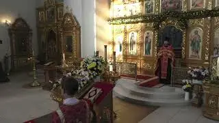 Проповедь протоиерея Александра Петлицкого  в канун недели  2-й по Пасхе. Жен мироносиц.