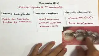 ¿Por qué el mercurio es tóxico?: intoxicación por mercurio
