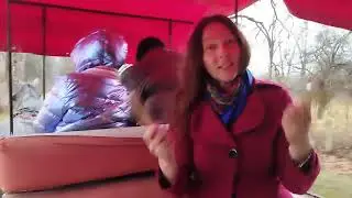 Клавес/Боснія і Герцеговина/Музичні інструменти музею HARP HALL