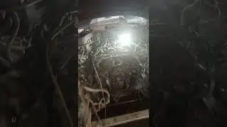 финик доездился