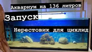 Запуск аквариума на 136 литров! Нерестовик для Цихлид