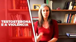 Testosterona e a violência.