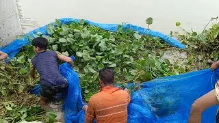 নদীতে মাছ ধরার সুন্দর একটি দৃশ্য ।