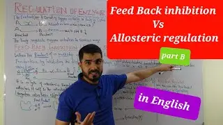 Feedback Inhibition Vs feedback Regulation and its comparison with allosteric regulation Part B