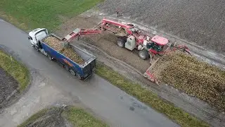 Loading sugar beet \\ Załadunek buraka cukrowego