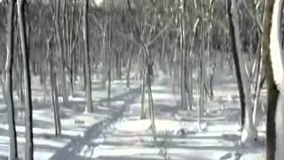 DSCN5145