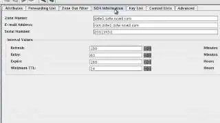 Managing Novell DNS with DNS DHCP Console