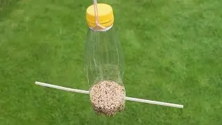 Futterstation aus einer Plastikflasche basteln
