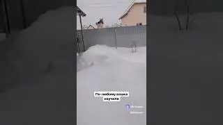школа паркур #dog