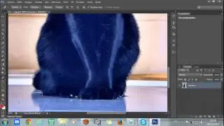 Recorte de Imagem Com Caneta no Photoshop