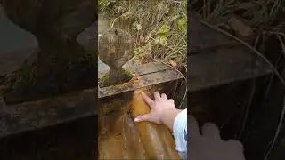 Поток